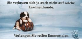 Sie verlassen sich ja auch nicht auf solche Lawinenhunde. Verlangen Sie reifen Emmentaler.