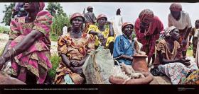 Michael von Graffenried: The Kirdi Women Calabash-Headwear Indicates Their Marital Status. Tourou Market, Far North Region, Cameroon 2008