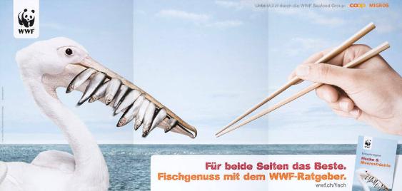 Für beide Seiten das Beste. Fischgenuss mit dem WWF-Ratgeber. - Einkaufsratgeber  Fische& Meeresfrüchte
