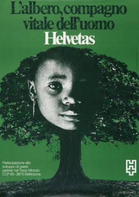 L'albero, compagno vitale dell'uomo - Helvetas