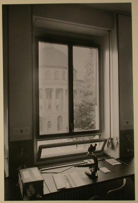 Bildbericht über die Fensterfabrik Albisrieden, Fenster mit Ausblick auf den Haupteingang der E…