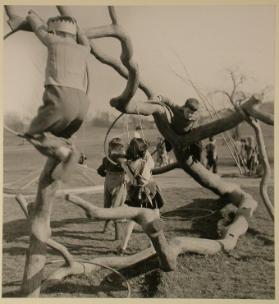 Kindergarten “Probstei”, Schwamendingen ; Kinder spielen auf einem Kletterbaum