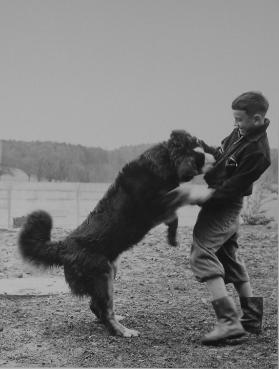 Knabe spielt mit Hund