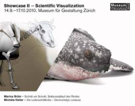 Showcase II – Scientific Visualization ; Einladung