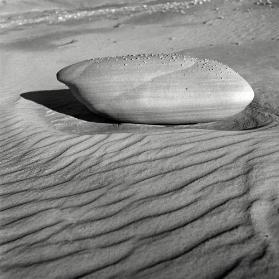 Galet sur sable