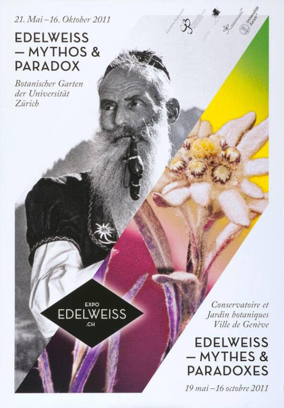 Edelweiss - Mythos & Paradox - Botanischer Garten der Universität Zürich - Edelweiss - Conservatoire et jardin botaniques Ville de Genève - Mythes & Paradoxes