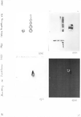 Ausstellung der Metallklasse KGSZ 1962