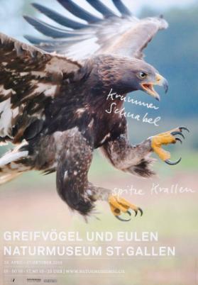 Krummer Schnabel - spitze Krallen - Greifvögel und Eulen - Naturmuseum St. Gallen