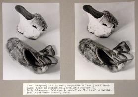 Der Schuh. Die Geschichte seiner Herstellung und seines Gebrauchs 

