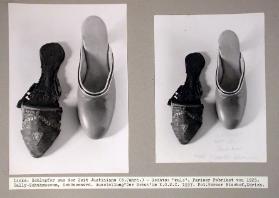 Der Schuh. Die Geschichte seiner Herstellung und seines Gebrauchs 
