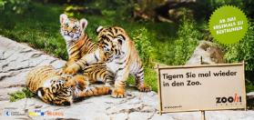 Ab Juli erstmals zu bestaunen - Tigern Sie mal wieder in den Zoo. Zooh! Zürich