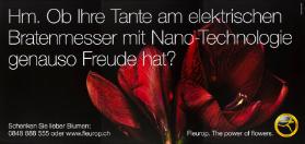 Hm. Ob Ihre Tante am elektrischen Bratenmesser mit Nano-Technologie genauso Freude hat? Fleurop. The power of flowers. Interflora Fleurop