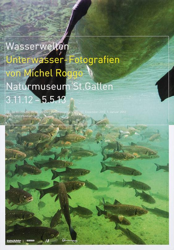 Wasserwelten - Unterwasser-Fotografien von Michel Roggo - Naturmuseum St. Gallen - 3.11.12-5.5.13