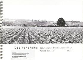 Das Panorama