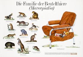 Die Familie der Beutelthiere (Marsupialia) - Der friedliche Abendbeutler (Sedes Eichenbergiensis)