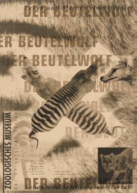 Der Beutelwolf - Leben und Sterben einer Tierart - Zoologisches Museum der Universität Zürich