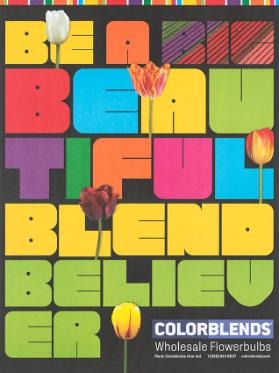 Be a Beautiful Blend Believer - Colorblends