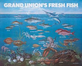 Grand Union's Fresh Fish