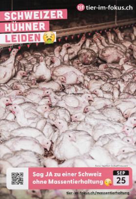 Schweizer Hühner leiden - Sag Ja zu einer Schweiz ohne Massentierhaltung - Tier-im-Fokus