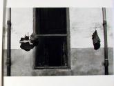 Perpignan 1954 ; Fenster mit aufgehängten Schuhen, Mütze und Beutel