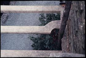 Frank Lloyd Wright "Fallingwater"