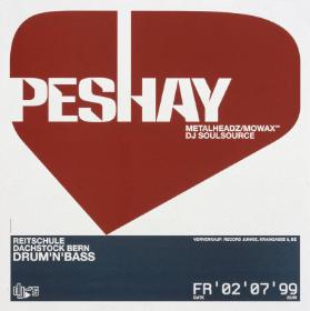 Peshay - Drum'n Bass - Reitschule Dachstock Bern