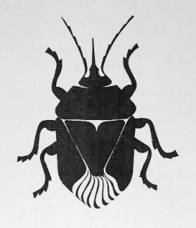 [Insekt]