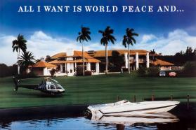 All I Want Is World Peace and...