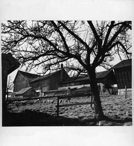 Bauernhaus auf Zürcher Stadtgebiet- Fluntern
