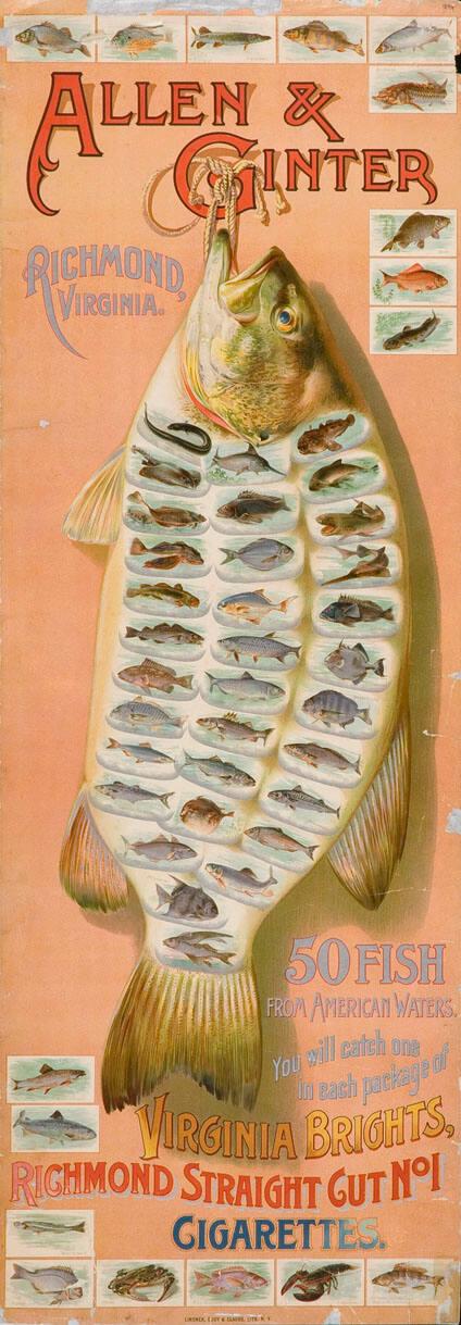 Allen & Ginter Tobacco Company, Richmond, US