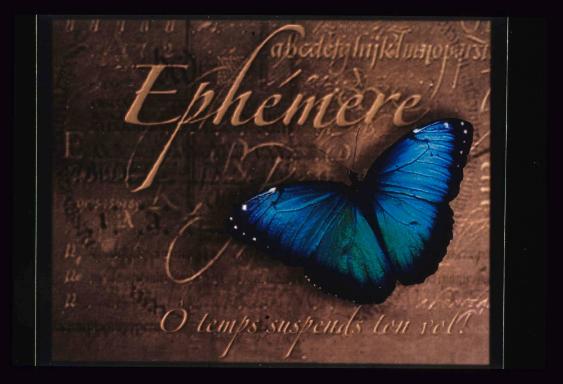 EPHEMERE ; Bild 1 ; Label für Dia-show
