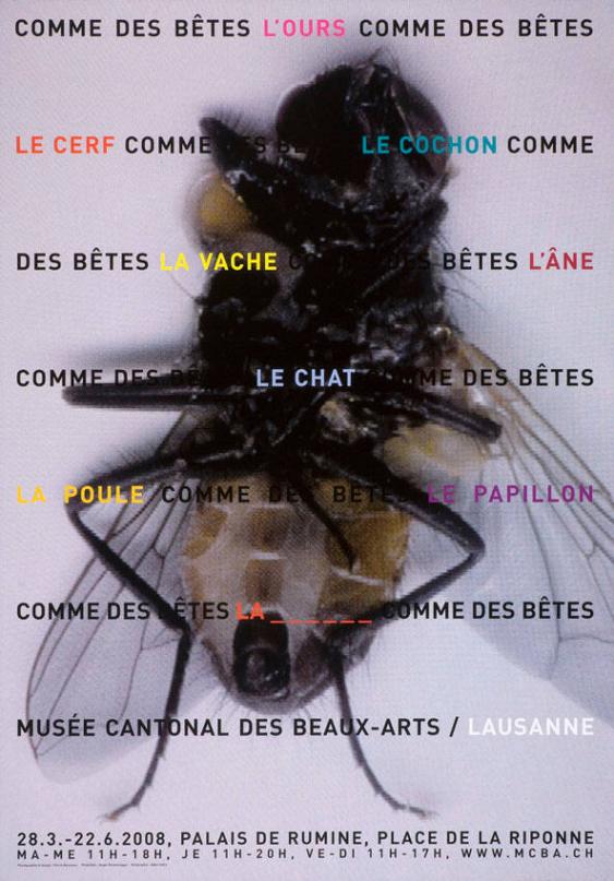 Comme des bêtes -  l'ours - le cerf - le cochon - la vache - l'âne - le chat - la poule - le papillon - musée cantonal des Beaux-Arts/Lausanne