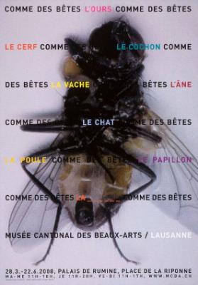 Comme des bêtes -  l'ours - le cerf - le cochon - la vache - l'âne - le chat - la poule - le papillon - musée cantonal des Beaux-Arts/Lausanne