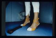 Hommage to Blaze ; Bild 2 ; Ausstellungsgestaltung : Fotostrecke   Bild B  (Tatzenschuh)
