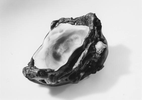 Tektite, Nr. 66