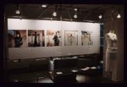 AWAKENING ; Ausstellungsgestaltung Fotostrecke 5 Teile, Dossier in Vitrine, Kleid



