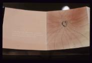 AWAKENING ; Dossier / Booklet Text und Entwurfsillustration (Herz)




