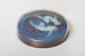 Modell Nr. 43: Deux Sirènes