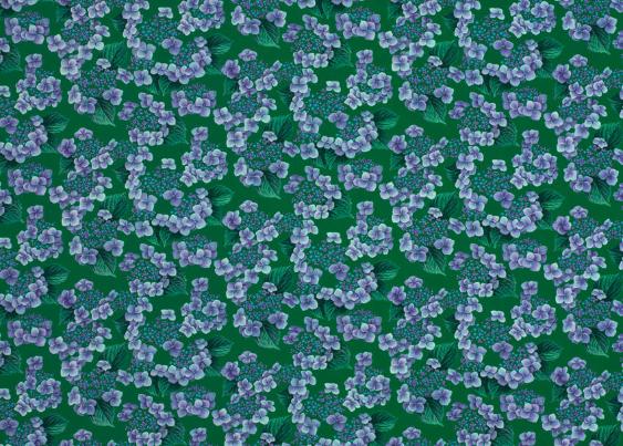 Bernadette Baltis-Weber