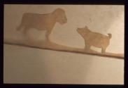 ELOISE EL COMPAGNERO ; neue Materialien für Kollektion ; transp. Metzgerpapier aufgekl. Tiere  …