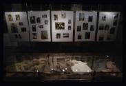 Deux pièces ; Ausstellungsgestaltung Fotostrecke und Vitrine


