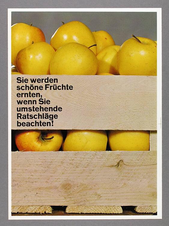 Sie werden schöne Früchte ernten, wenn Sie umstehende Ratschläge beachten!