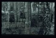 Artemis ; Theoretische Diplomarbeit ; Seite H > im Wald 
