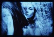 Artemis ; Video zur Diplomkollektion > Still Vision im Wald
