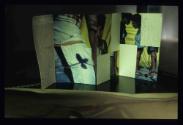 neoplants neue Pflanzen ; Bild 5 ; Ausstellungsgestaltung Vitrine  Broschüre (Leporello)
 
