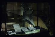 Metamorphose Graphium-Sarpedon ; Bild A ; Ausstellungsgestaltung  Vitrine Doku zum Thema 


…