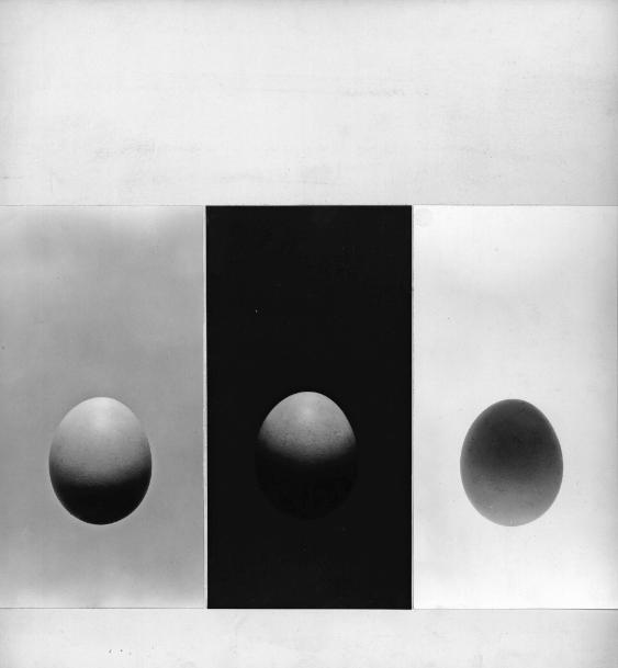 Eier