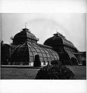 Ferienaufnahme ; Palmenhaus in Wien