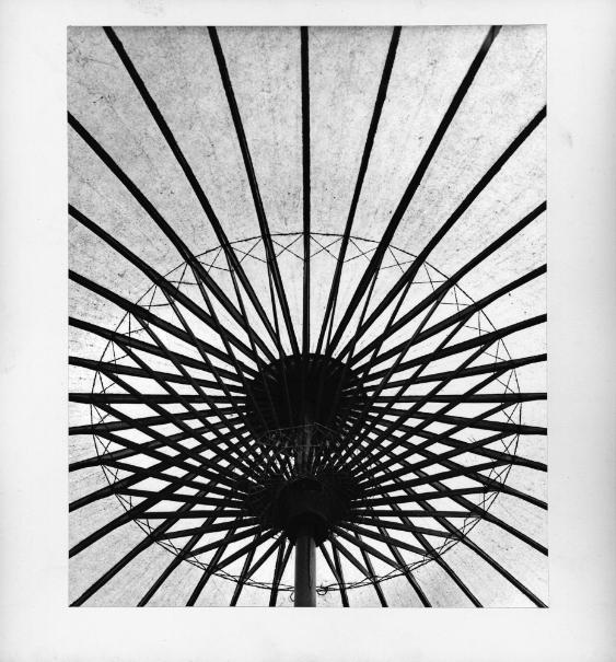 Objekt in unterschiedlichem Licht ; Gegenlicht