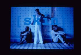 skin ; Video (Still) Titel
